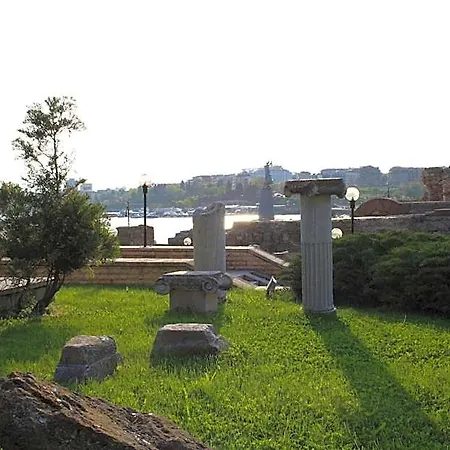 Rony Nesebar
