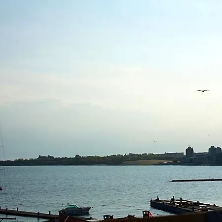 Rony Nesebar